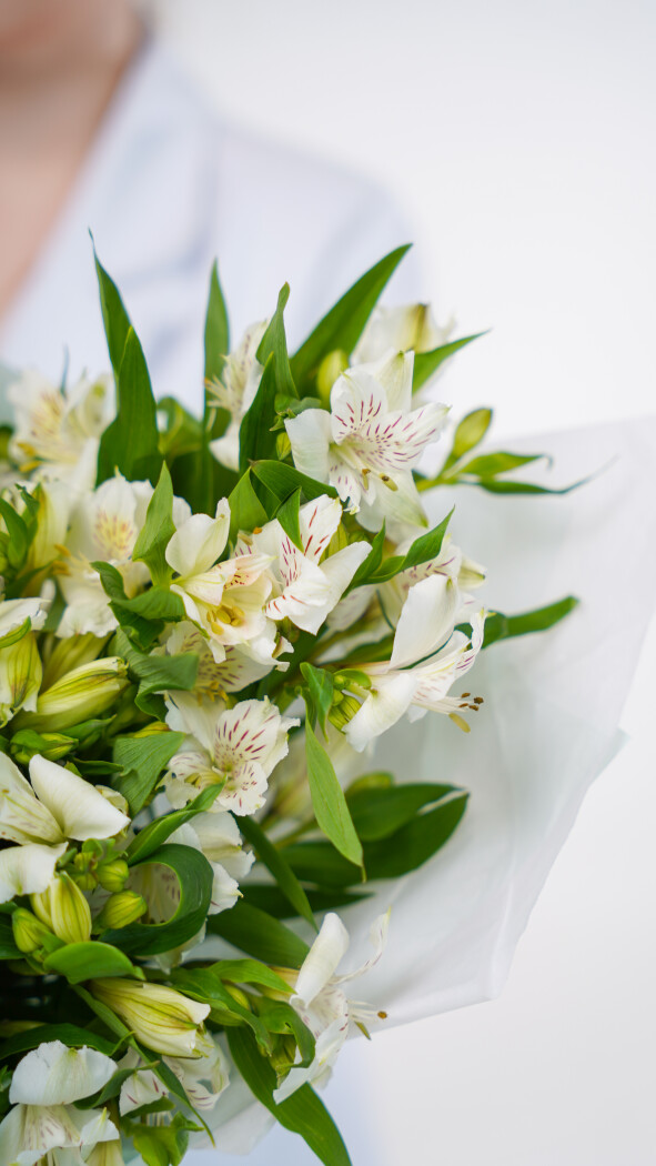 25 белых альстромерий в оформлении №92