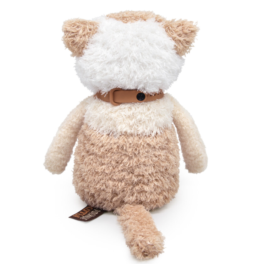 CCat19-10 Латте