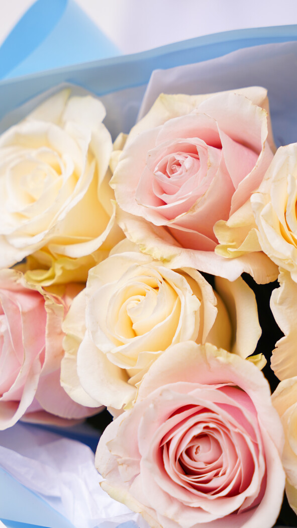 9 роз микс в оформлении №298