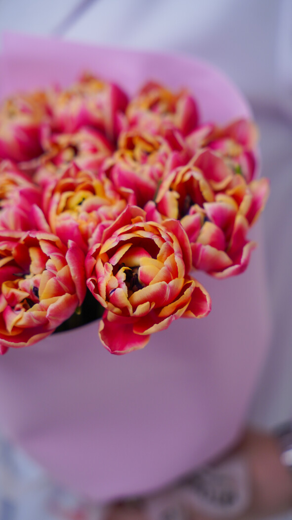 25 пионовидных тюльпанов в оформлении №359