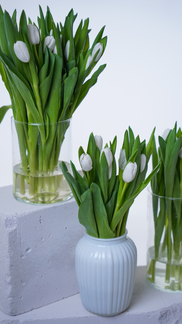 Охапка белых тюльпанов №384