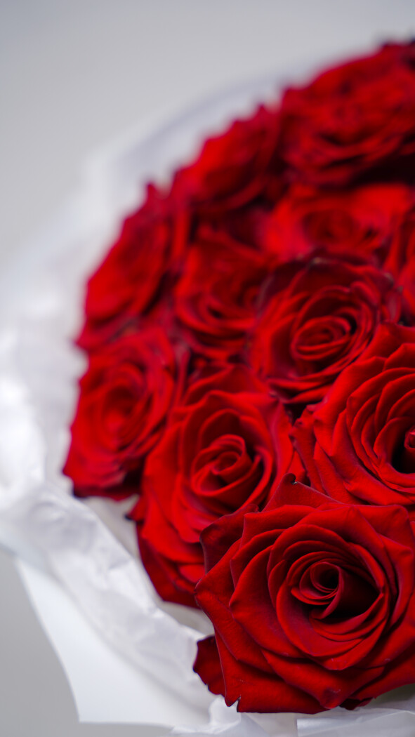 25 красных роз в оформлении №43