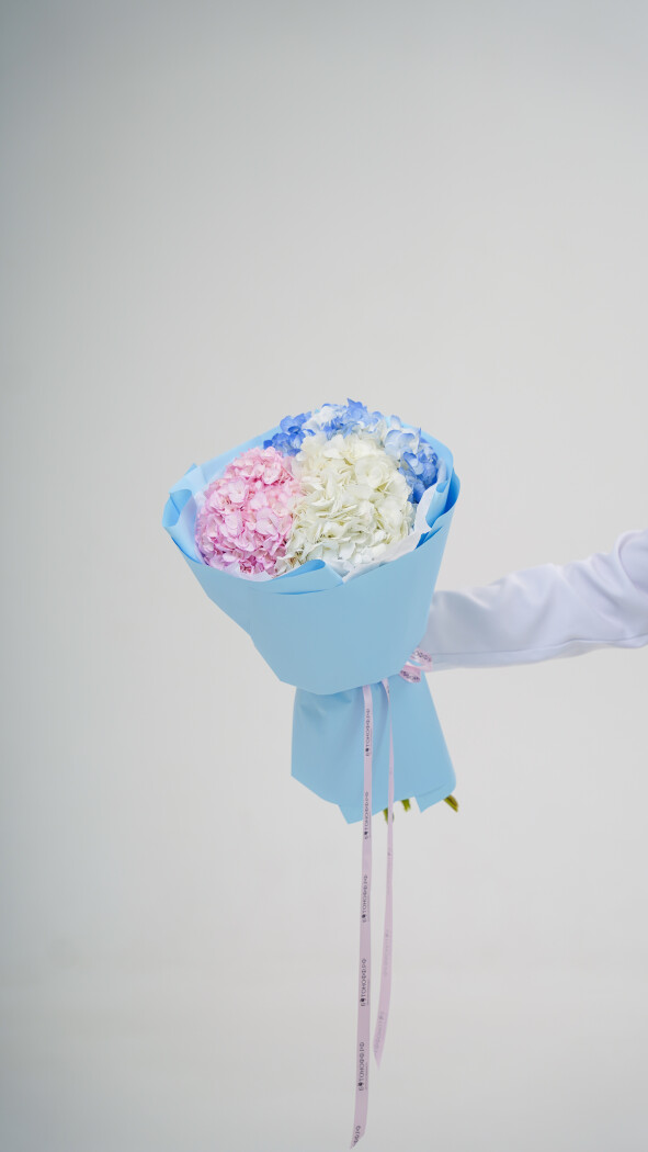 3 гортензии микс в оформлении №154