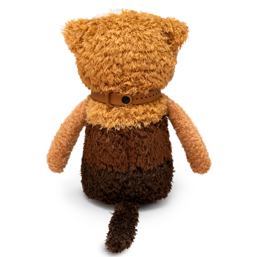 CCat19-20 Фраппе