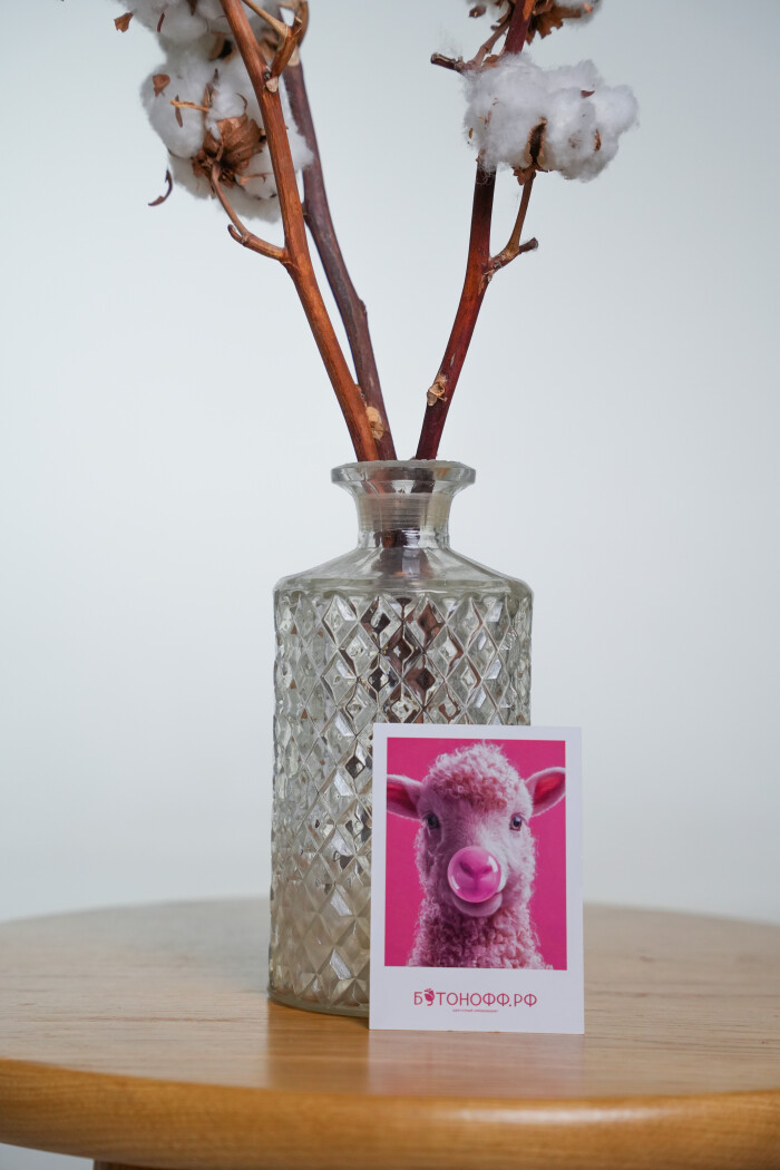 Мини-открытка "Альпака"