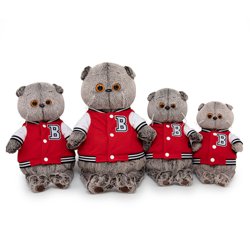 Ks22-055 Басик в клубной куртке (В1)