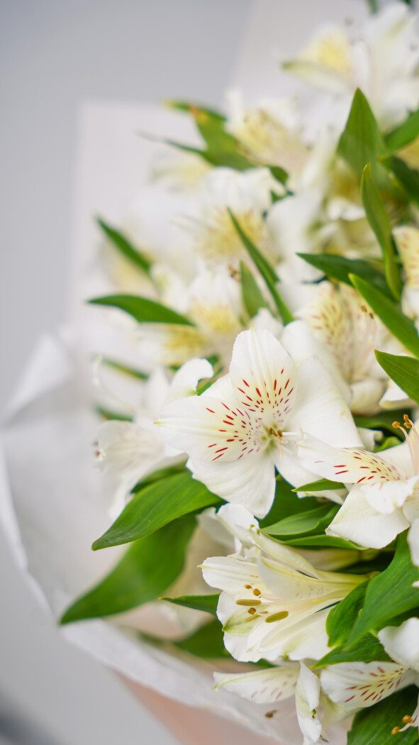 11 белых альстромерий в оформлении №90