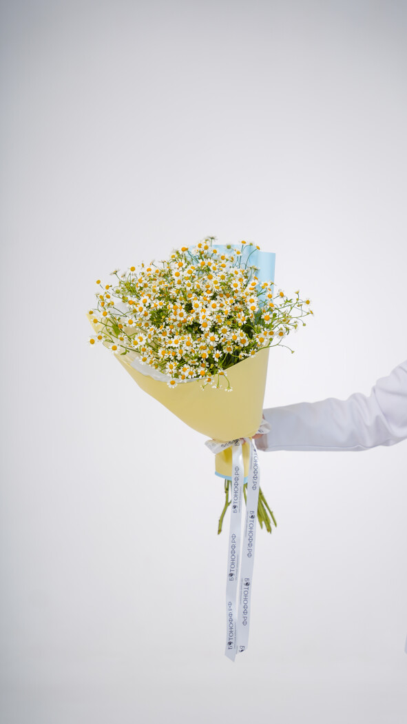 11 ромашек в оформлении №120