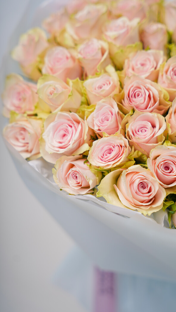 51 нежно-розовая роза в оформлении №38