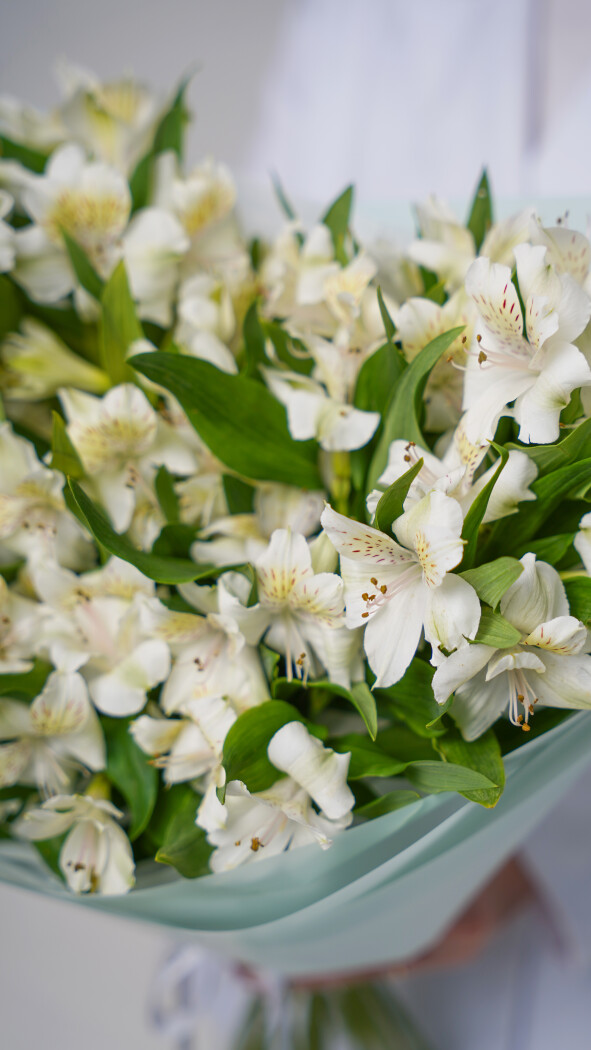 15 белых альстромерий в оформлении №91