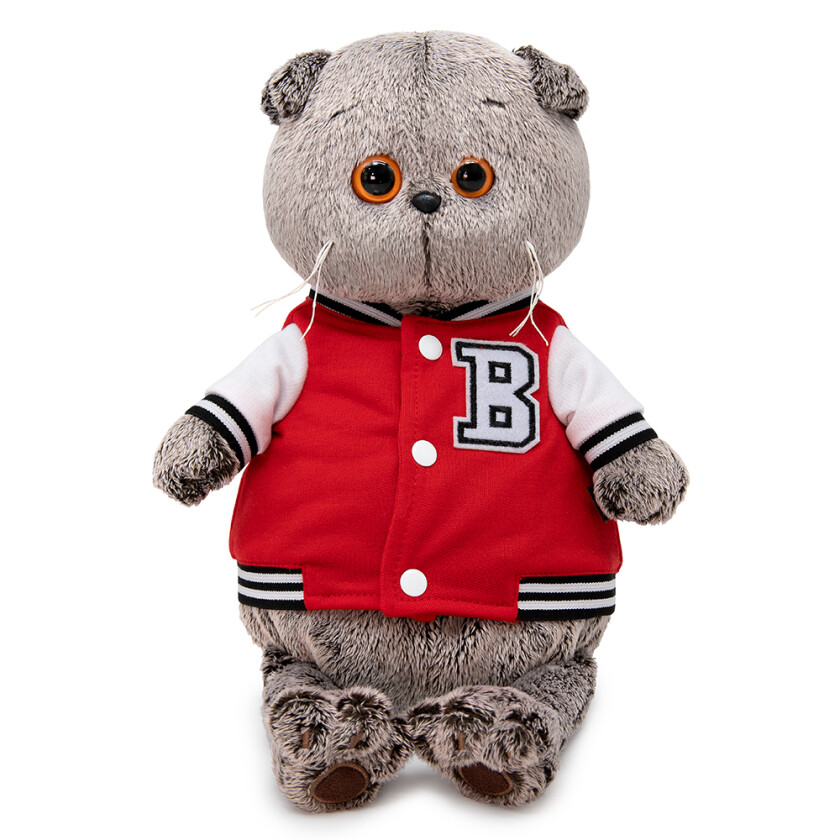 Ks22-055 Басик в клубной куртке (В1)