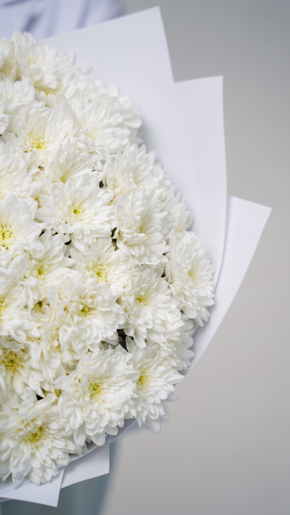 15 белых хризантем в оформлении №73