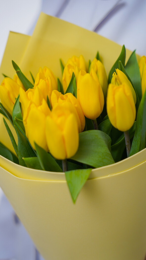 15 желтых тюльпанов в оформлении №368