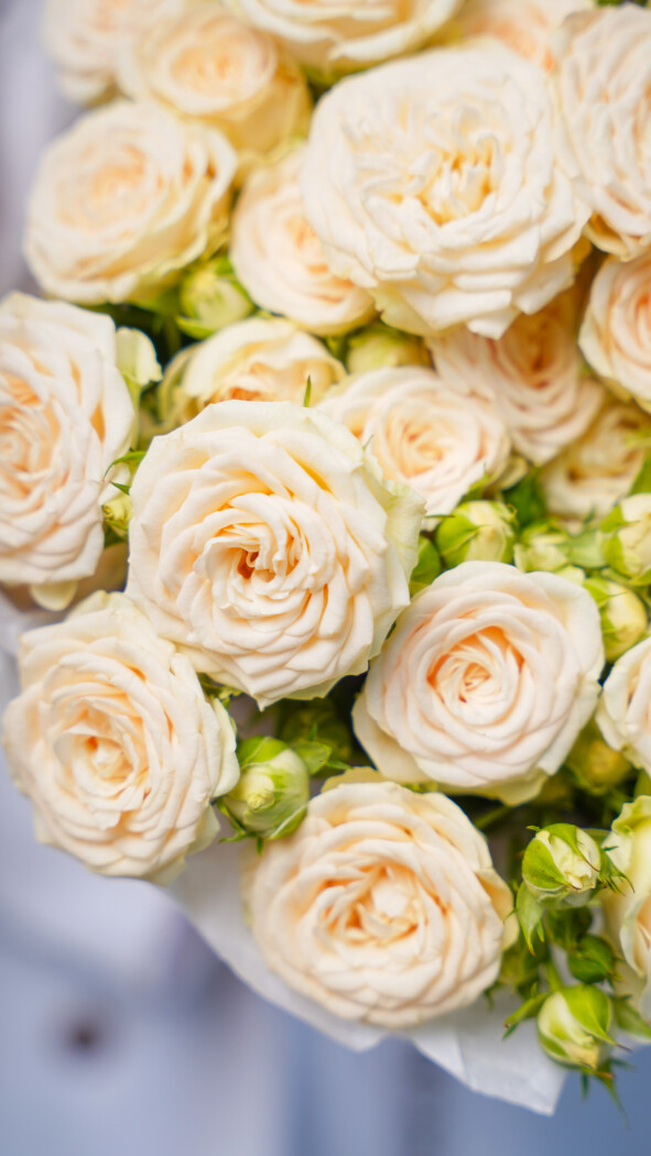 11 светло-розовых кустовых роз в оформлении №21