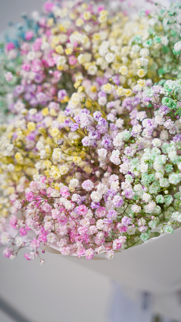 11 радужных гипсофил в оформлении №84