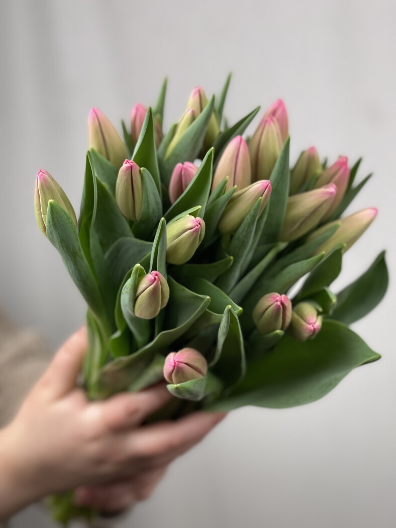 15 розовых тюльпанов в оформлении №378 (tovar_378)