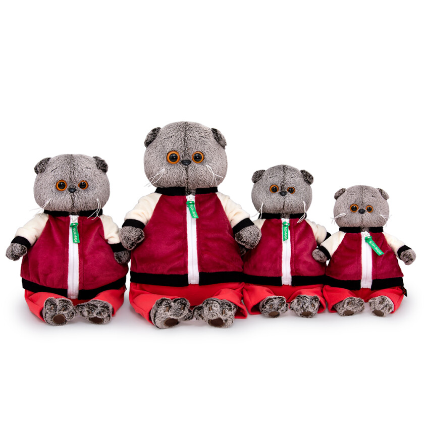 Ks22-227 Басик в спортивной курточке и штанах