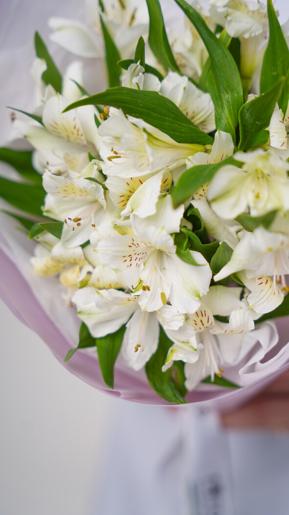 5 белых альстромерий в оформлении №88