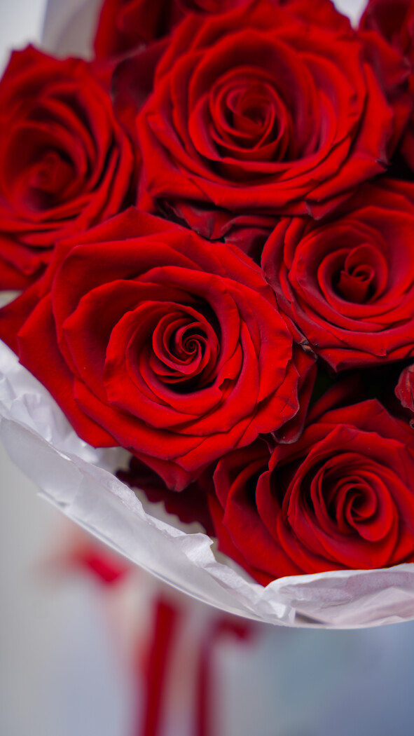 9 красных роз в оформлении №41