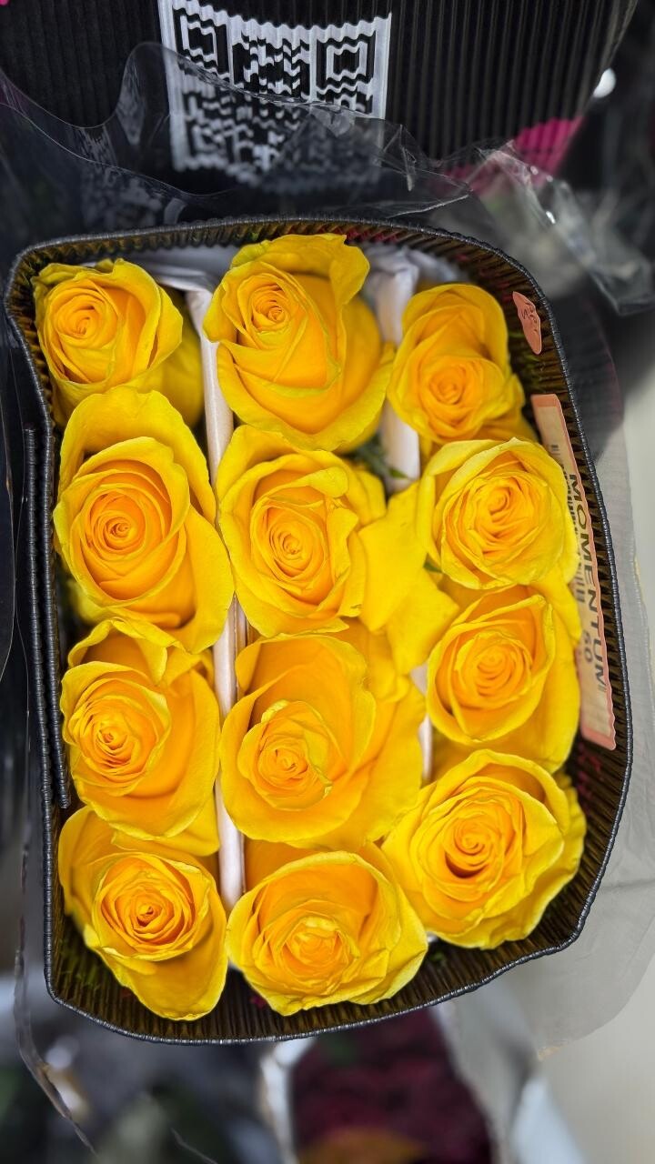 Банч «Momentum»