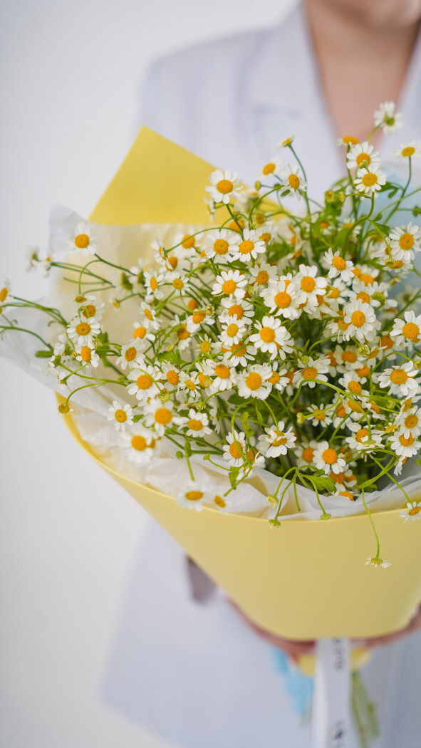 5 ромашек в оформлении №118