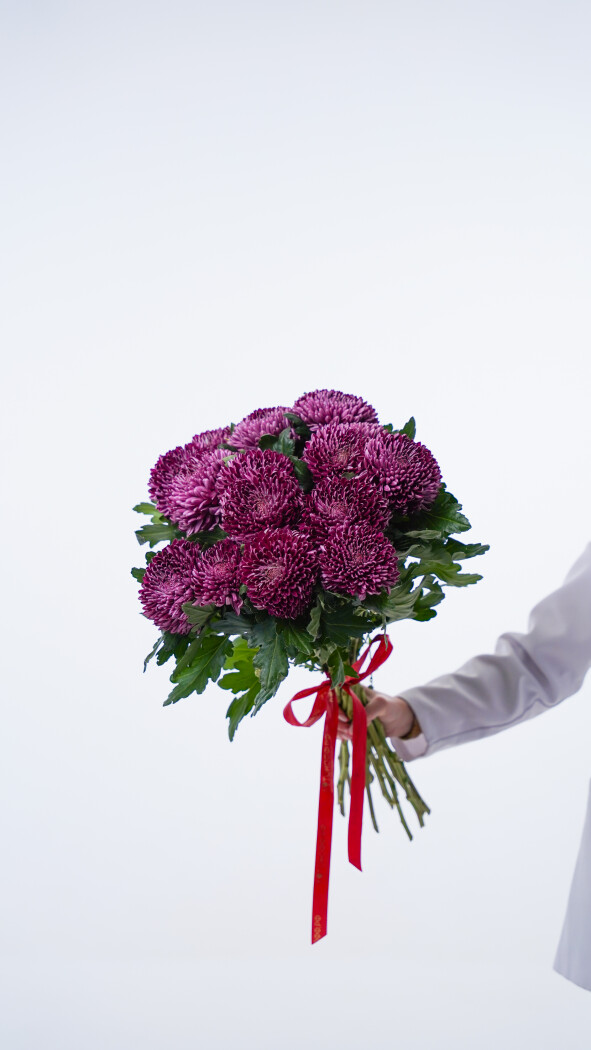 15 фиолетовых хризантем под ленту №423