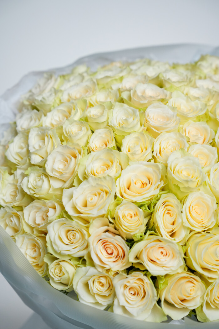 101 белая роза в оформлении №36