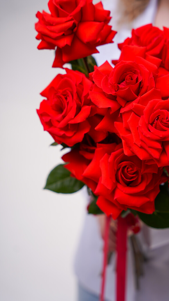 9 алых роз под ленту №275