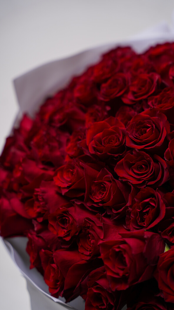 101 красная роза в оформлении №45