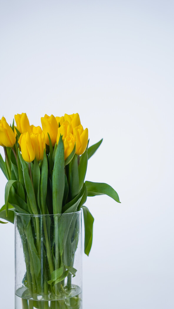 Охапка желтых тюльпанов №385