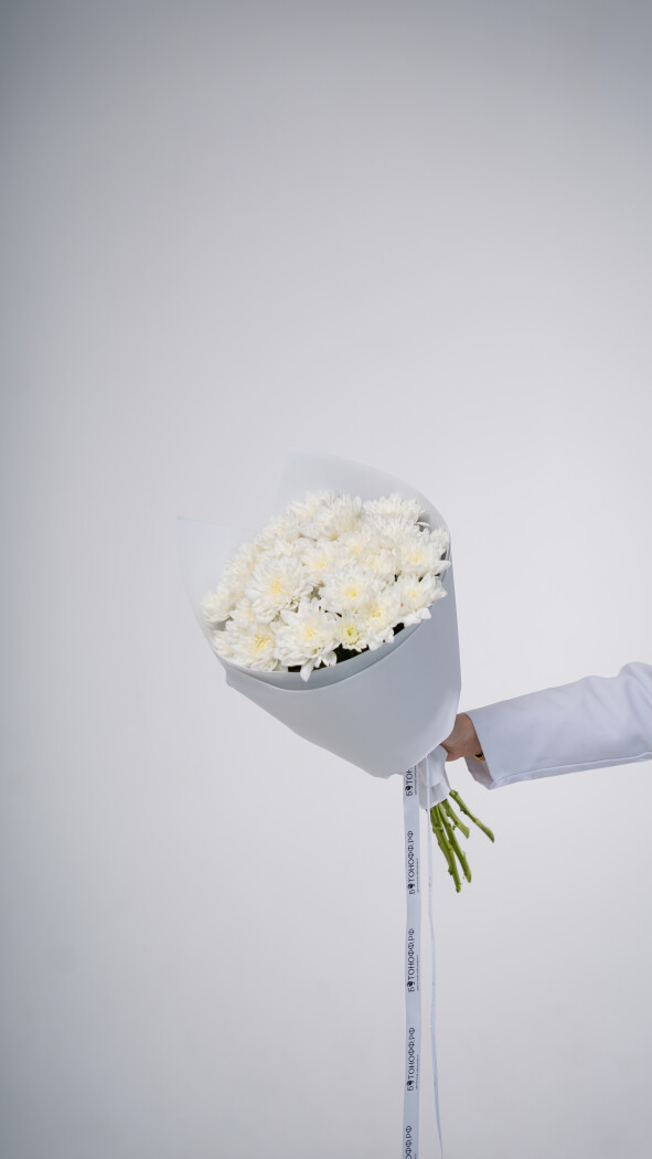 5 белых хризантем в оформлении №70