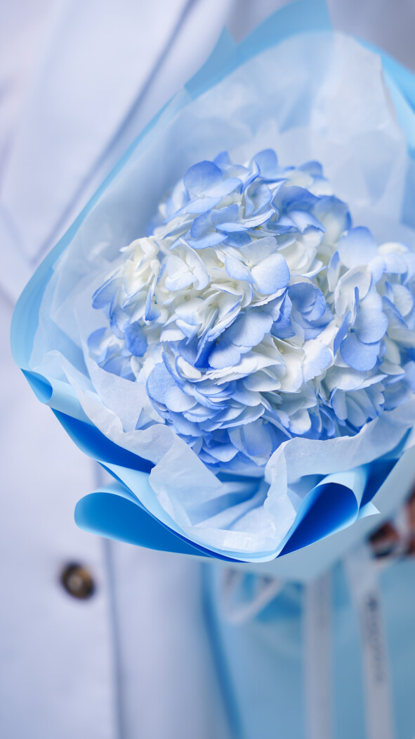 1 голубая гортензия в оформлении №205