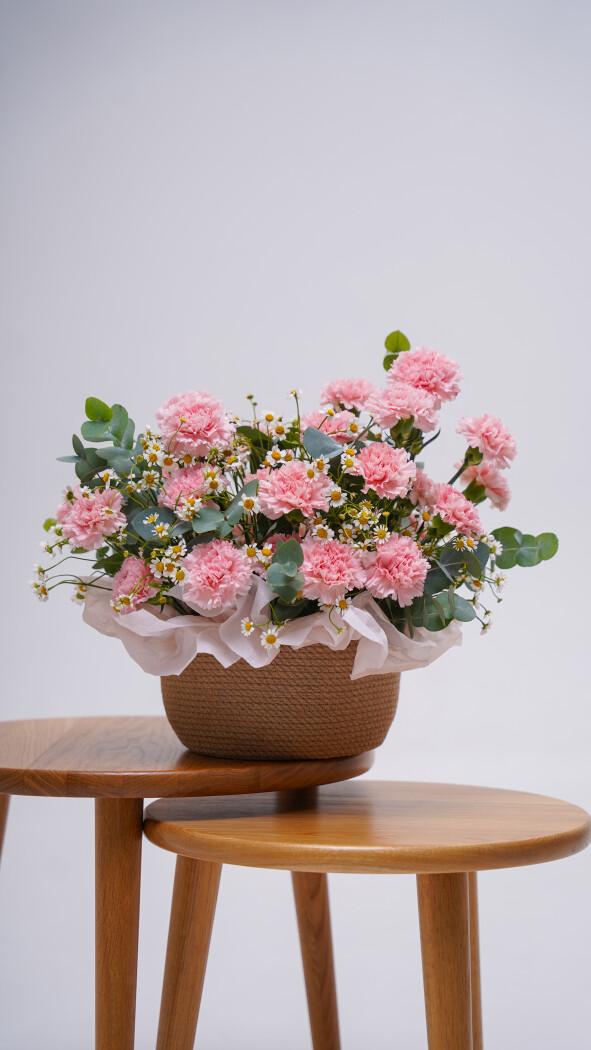 Композиция №245