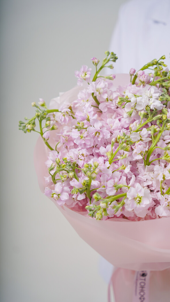 25 розовых маттиол в оформлении №128