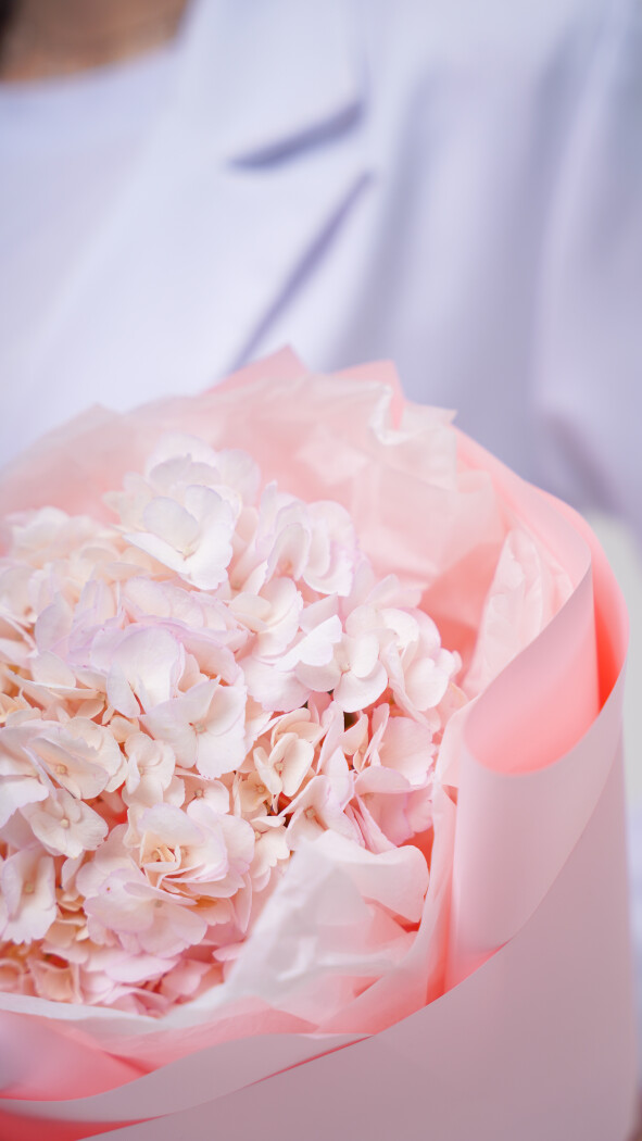 1 розовая гортензия в оформлении №204