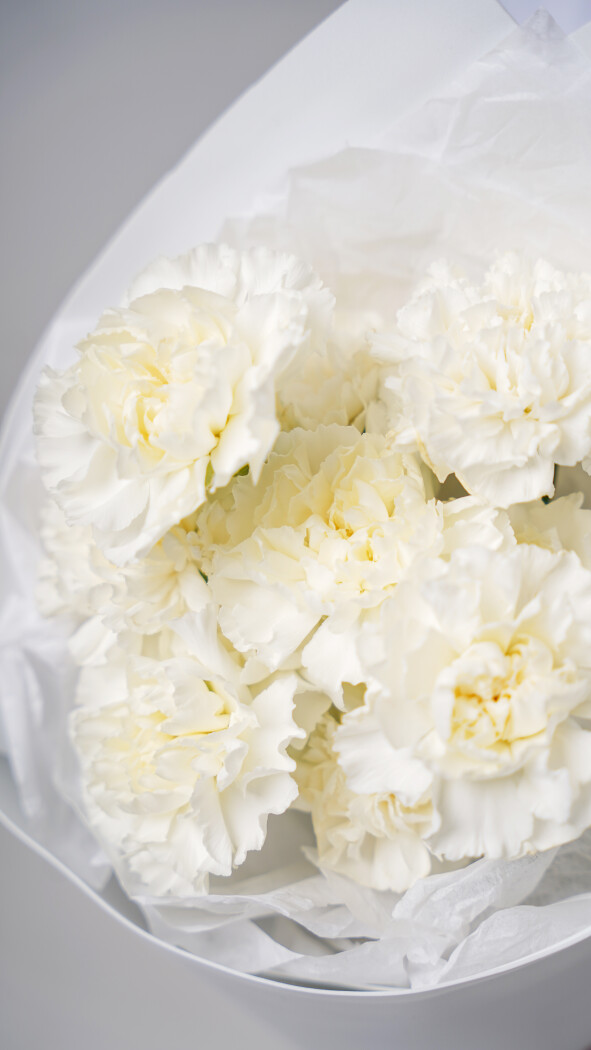 11 белых диантусов в оформлении №102