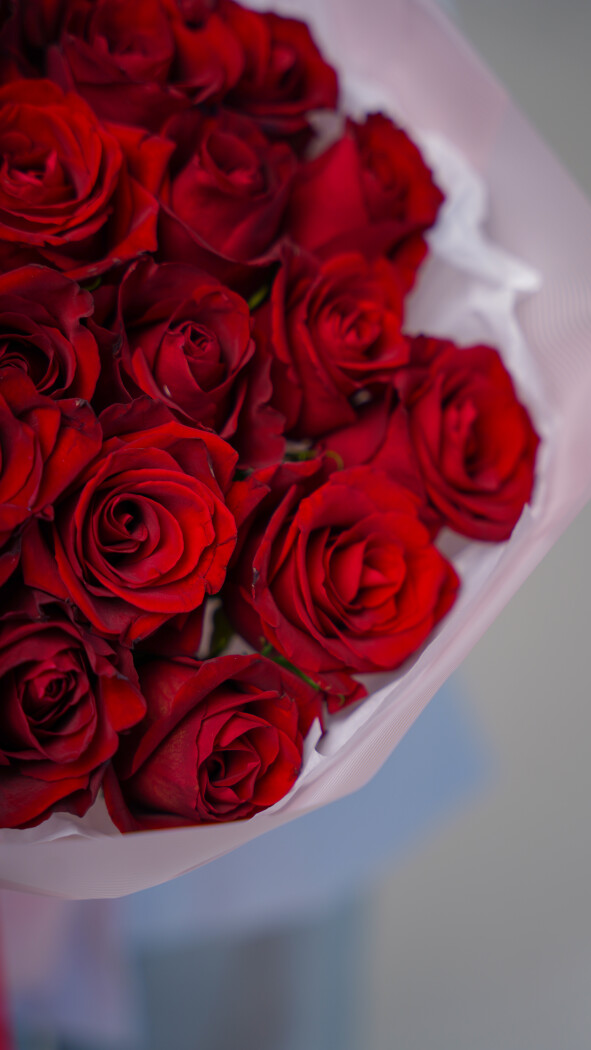 25 красных роз в оформлении №31