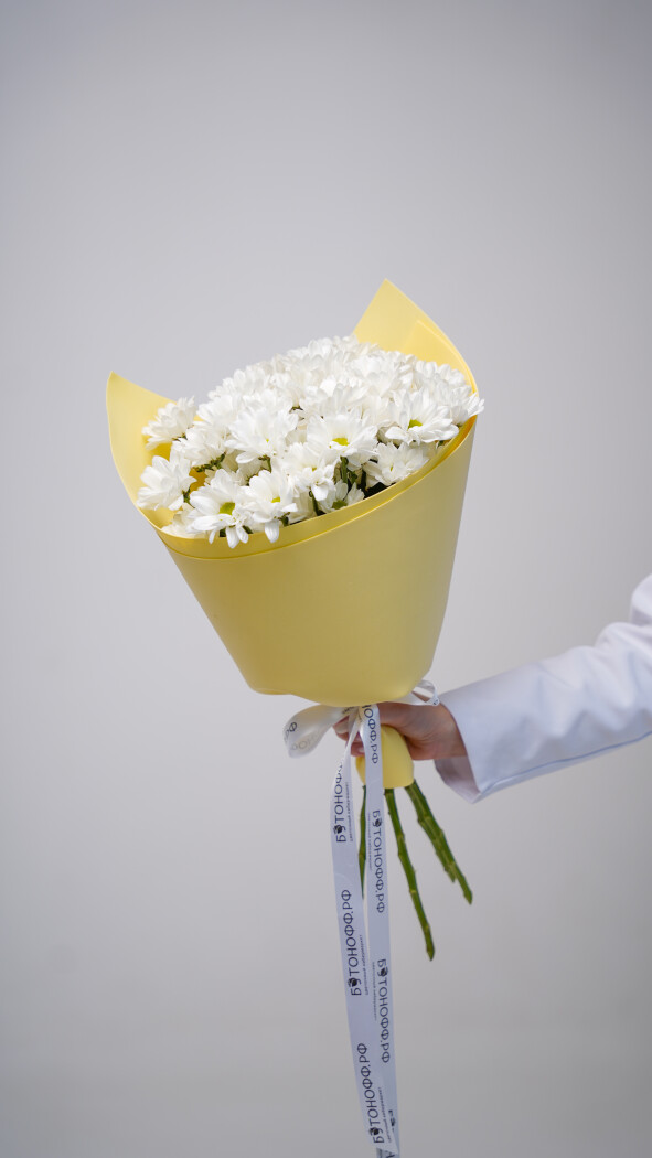 5 белых ромашковых хризантем в оформлении №76