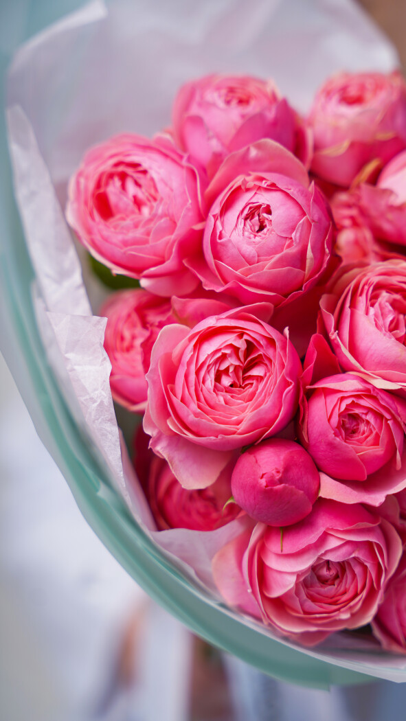 5 розовых кустовых роз в оформлении №25