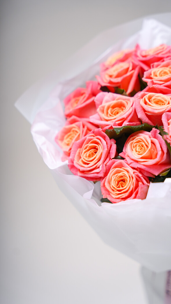17 коралловых роз в оформлении №236