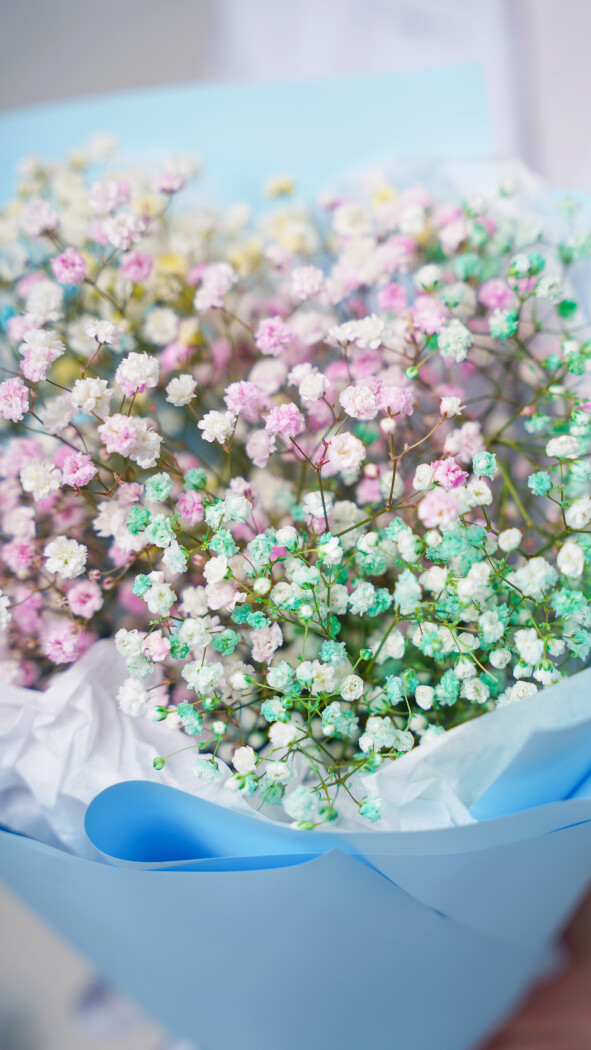 5 радужных гипсофил в оформлении №82