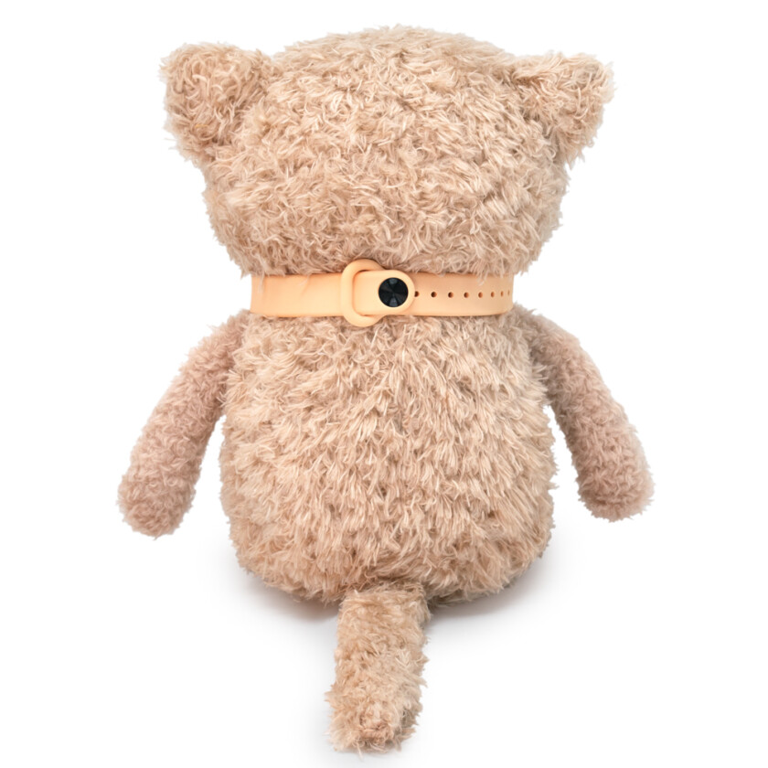 CCat16-10 Какао