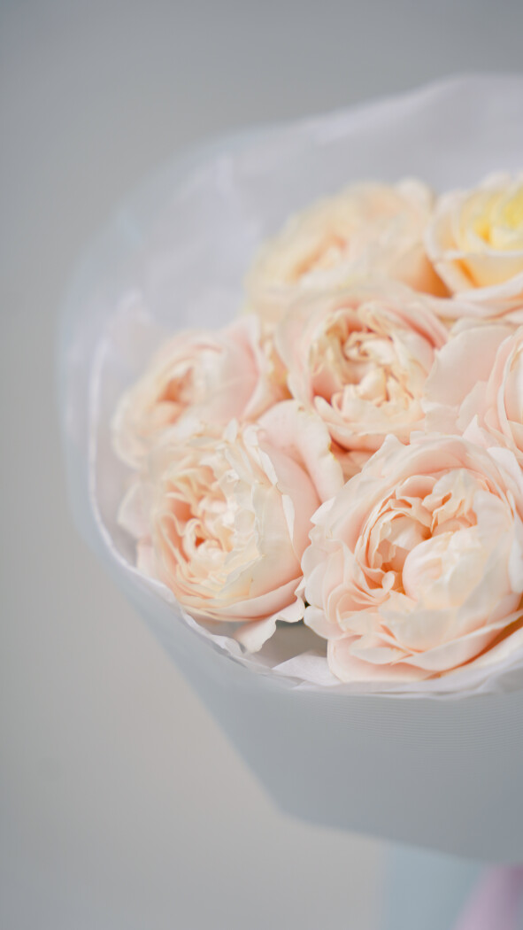 7 бледно-розовых пионовидных роз в оформлении №7