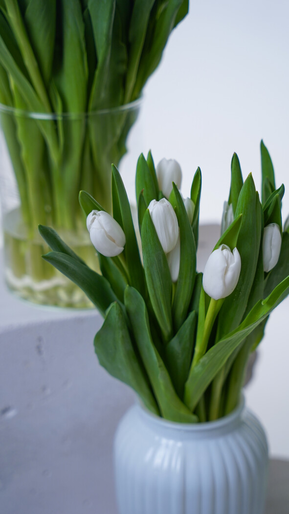 Охапка белых тюльпанов №384
