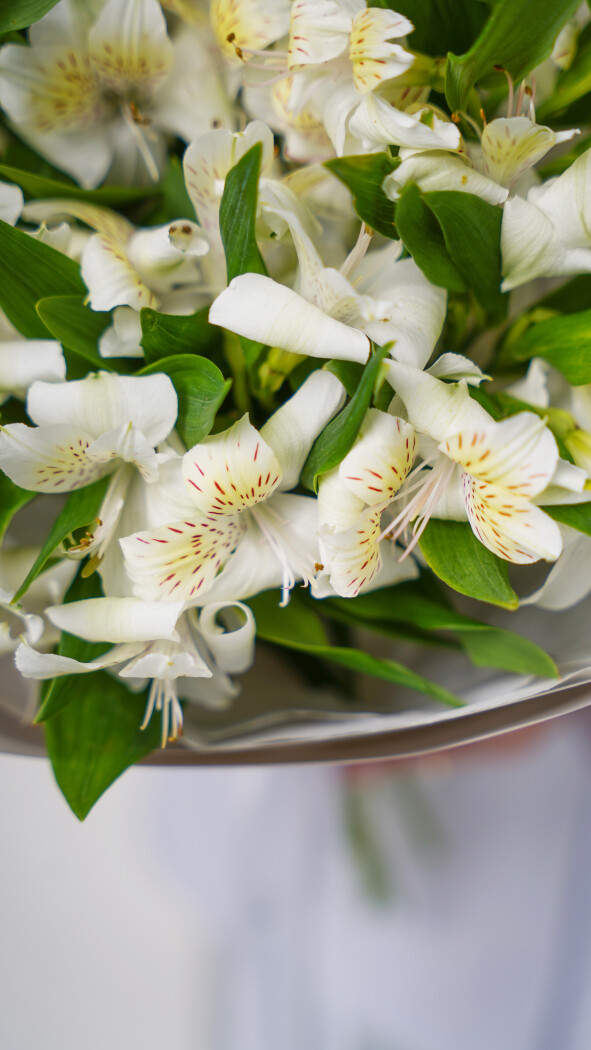 9 белых альстромерий в оформлении №89