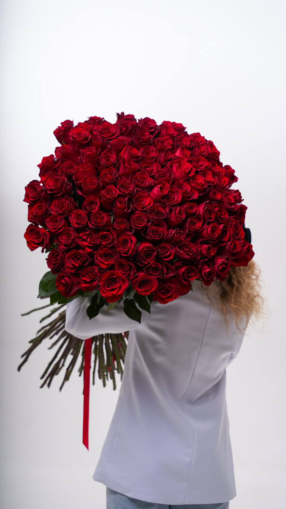 101 красная метровая роза под ленту №51