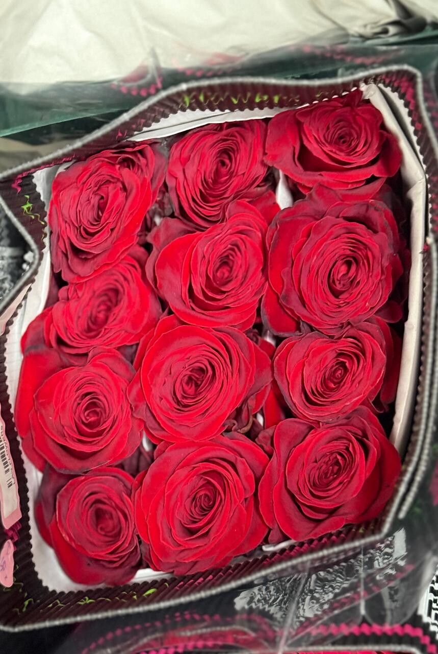 Банч «Freedom»