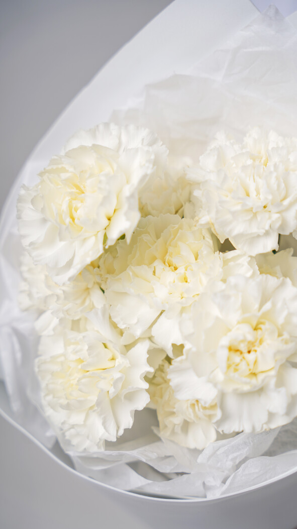 25 белых диантусов в оформлении №104