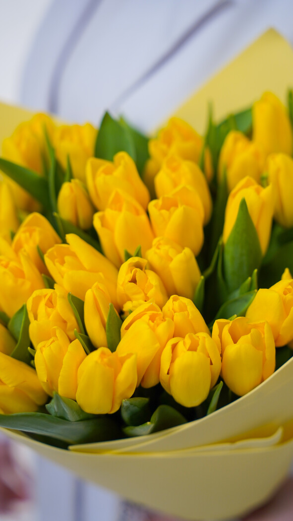 35 желтых тюльпанов в оформлении №370