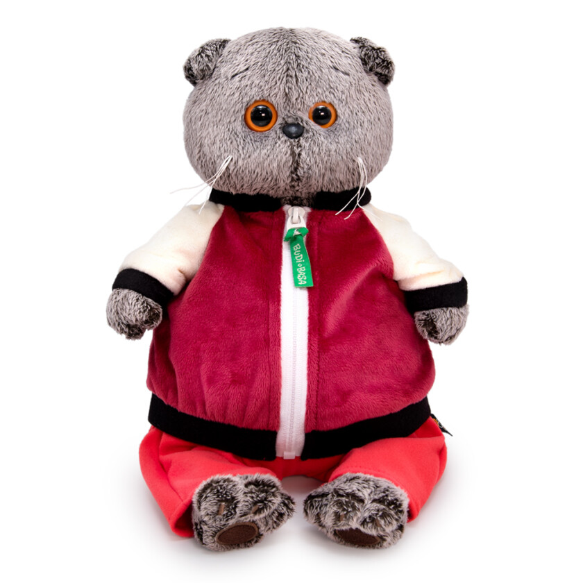 Ks22-227 Басик в спортивной курточке и штанах